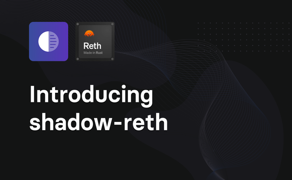 Introducing shadow-reth